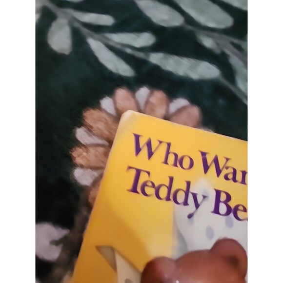 Who Wants and Old Teddy Bear? by Ginnie Hofmann 1978 Childrens Softcover Book - Picture 6 of 9